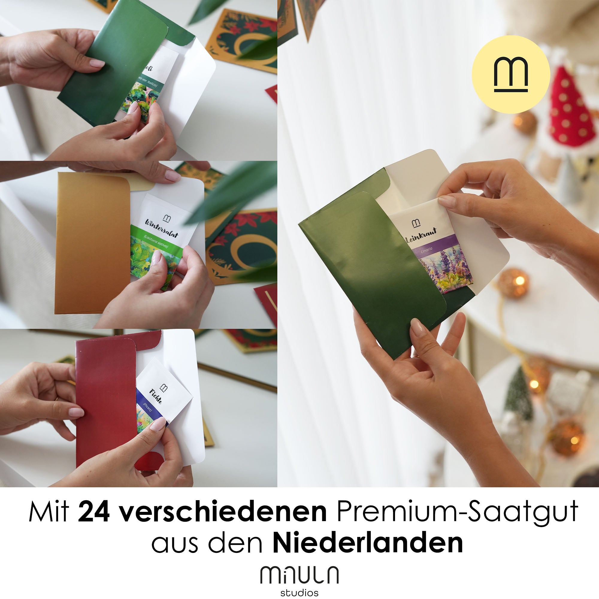 Saatgut Adventskalender 2025